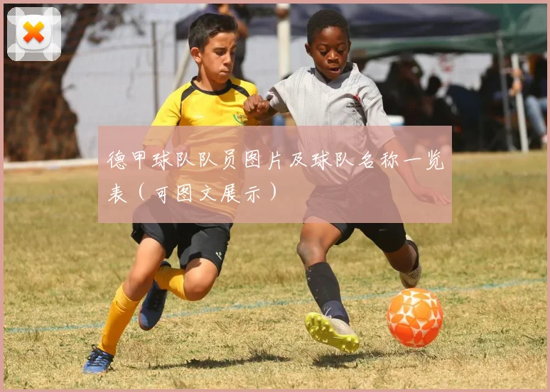 德甲球队队员图片及球队名称一览表（可图文展示）