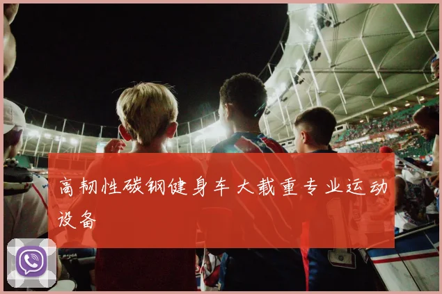 高韧性碳钢健身车大载重专业运动设备