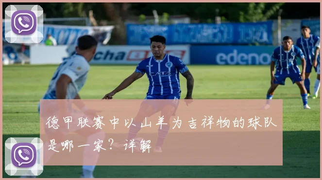 德甲联赛中以山羊为吉祥物的球队是哪一家？详解