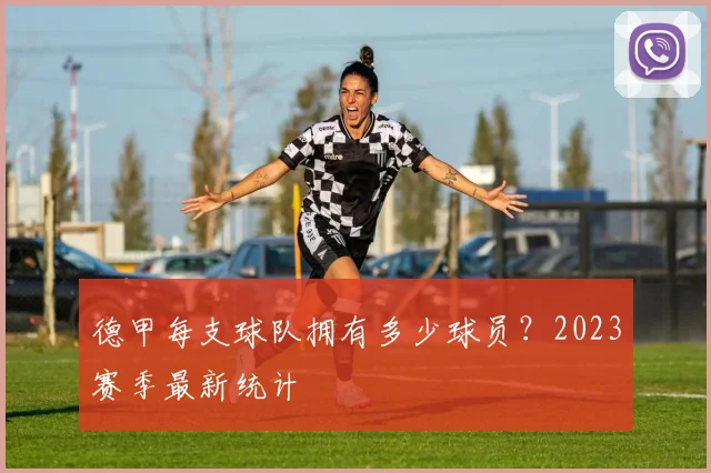 德甲每支球队拥有多少球员？2023赛季最新统计
