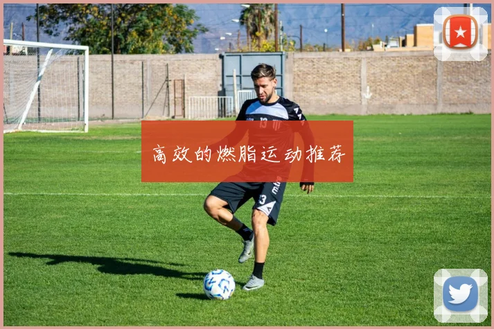 高效的燃脂运动推荐